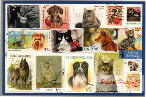 Cats & Dogs Stamps Postcard