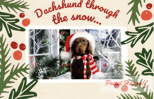 Dachshund Through the Snow Postcard