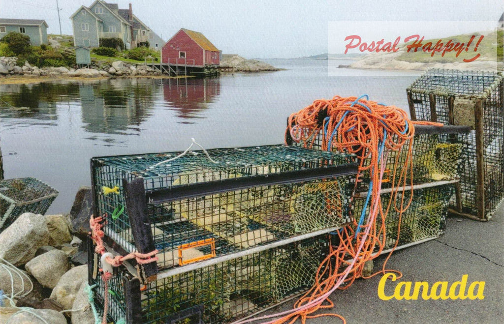 Lobsters Cages Postcard