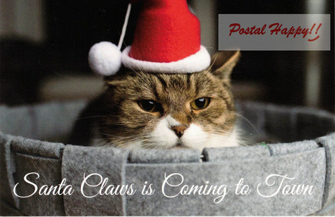 "Santa Claws" Postcard