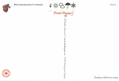 You'll Get Mail Postcard