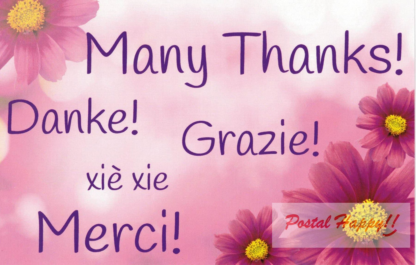 Multi Language Thank You Postcard