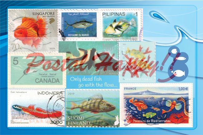 Fishes of World Stamps Postcard