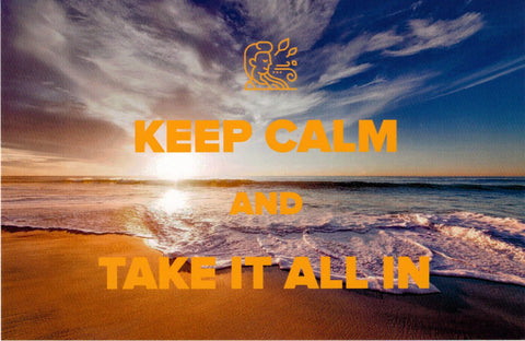 "Keep Calm & Take it All In" Postcard