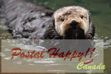 Cute Otter Postcard