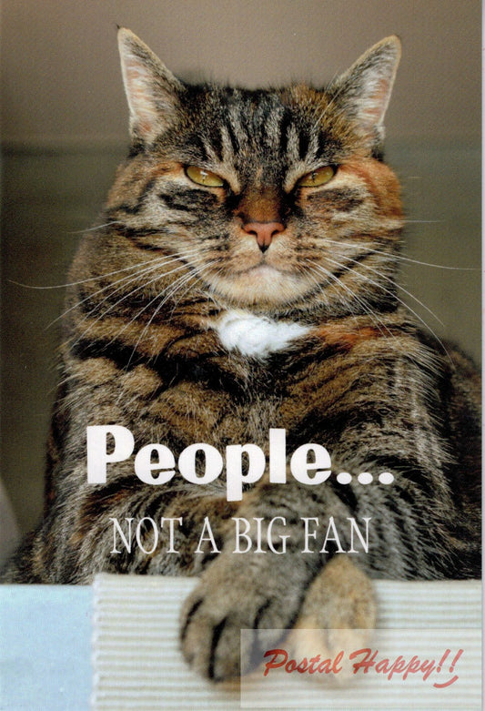 People... Not a Big Fan Postcard