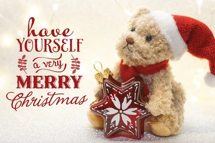 Christmas Teddy Postcard